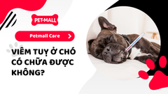 Viêm tụy
